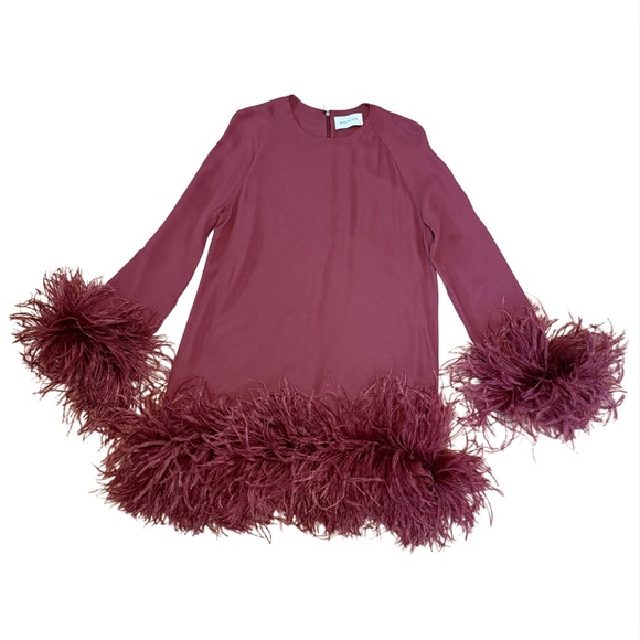 72. 16ARLINGTON Hodi Mini Dress Georgette Feather Mini BORGOGNA $1260 NWT Sz 2 - Picture 3 of 9